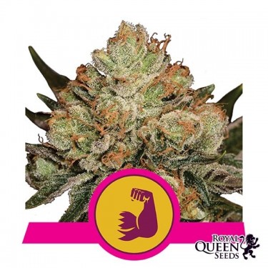 Hulkberry