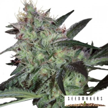 Super Diesel
