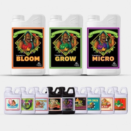 AN Professional Pack