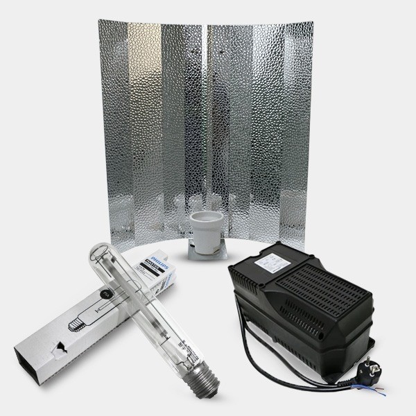 Kit de iluminación para Floración estuco philips