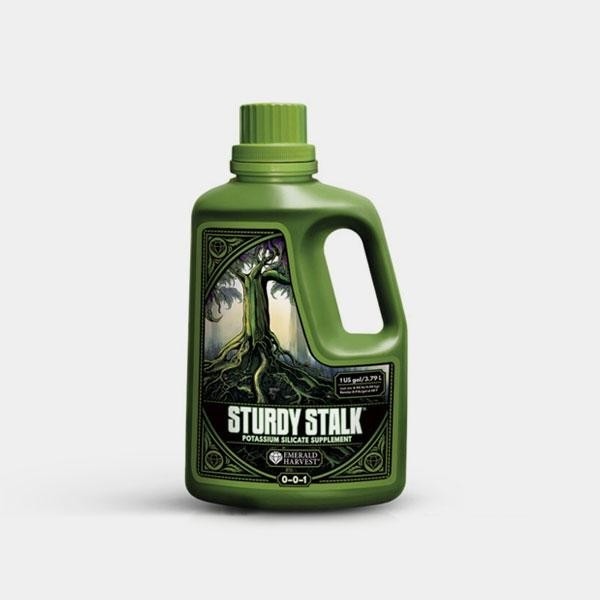 Sturdy Stalk 3,79L