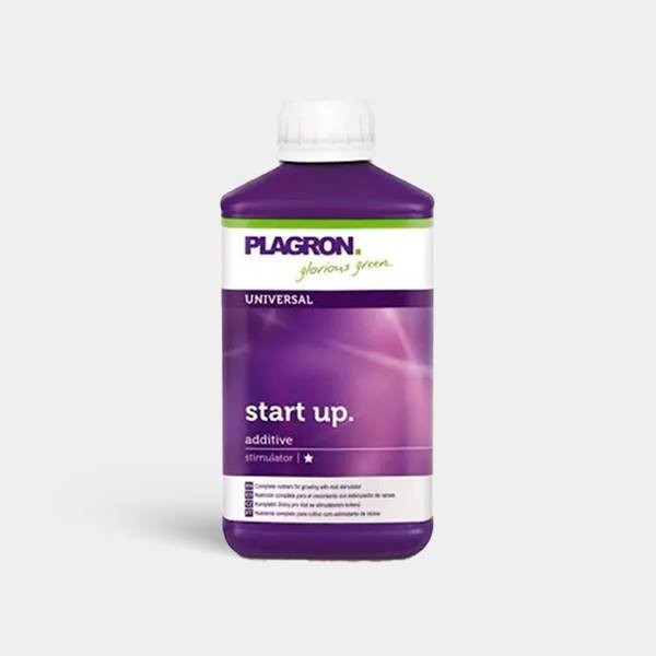 Start Up 500ml