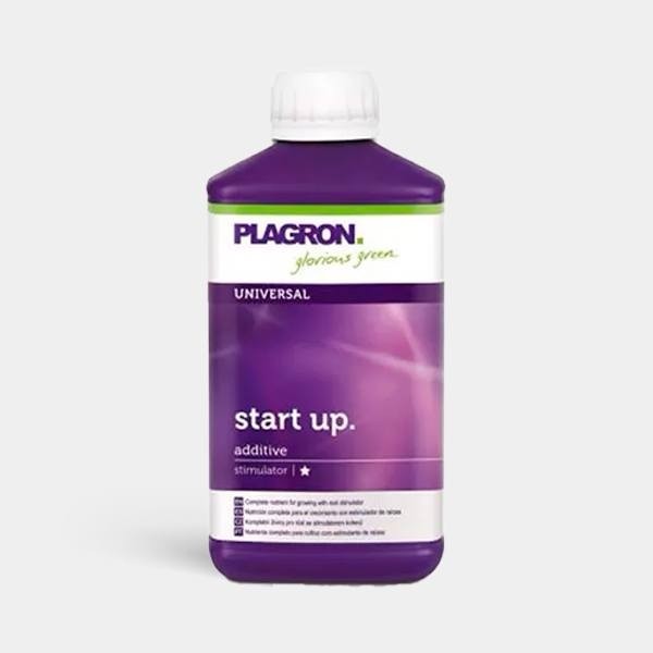 Start Up 1L