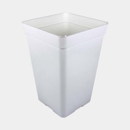 Vaso Speciale autofiorenti Bianca