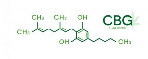 cannabigerolo cbg