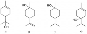Formula terpineolo terpineolo