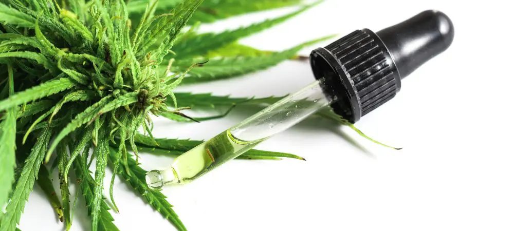 Che cos'è la tintura di cannabis?