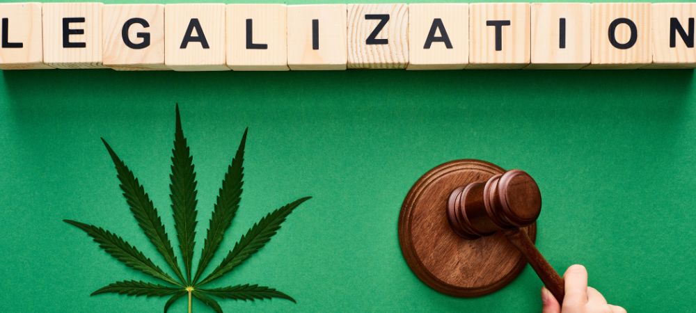 La Germania legalizza la cannabis