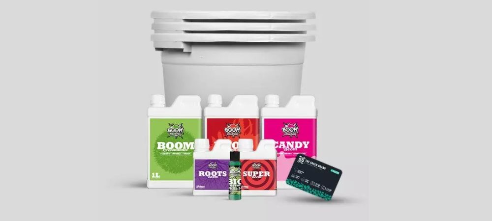 Kit Completo Femminizzate 