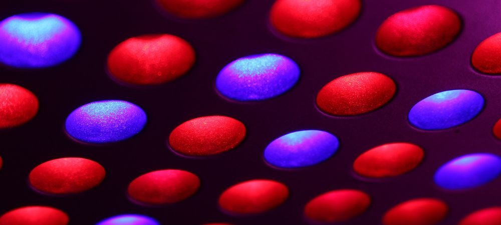 Lampadine e lampade LED