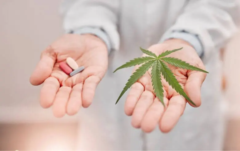 CBD para la osteoporosis