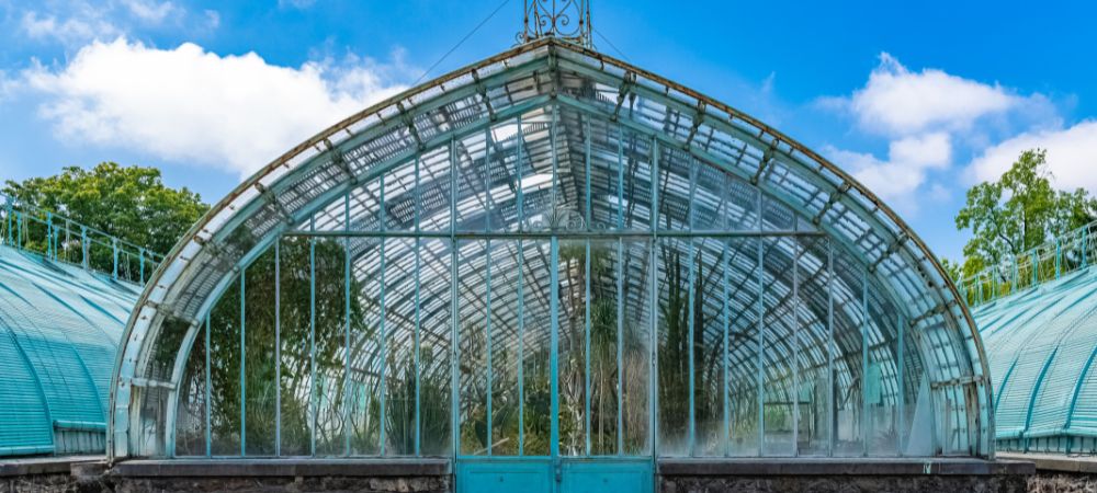 Cultivar cannabis en invernadero